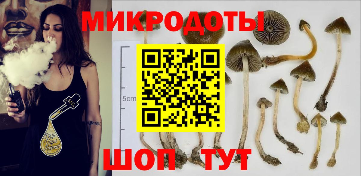 Галлюциногенные грибы ЛСД  Псилоцибиновые грибы Magic Shrooms  Зеленогорск  Вход с VPN 